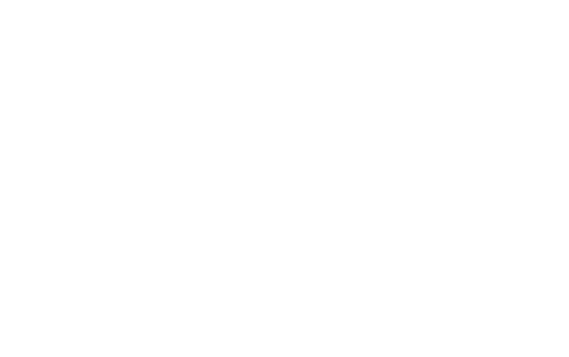 Dragon Shield